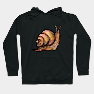 Snail Hoodie